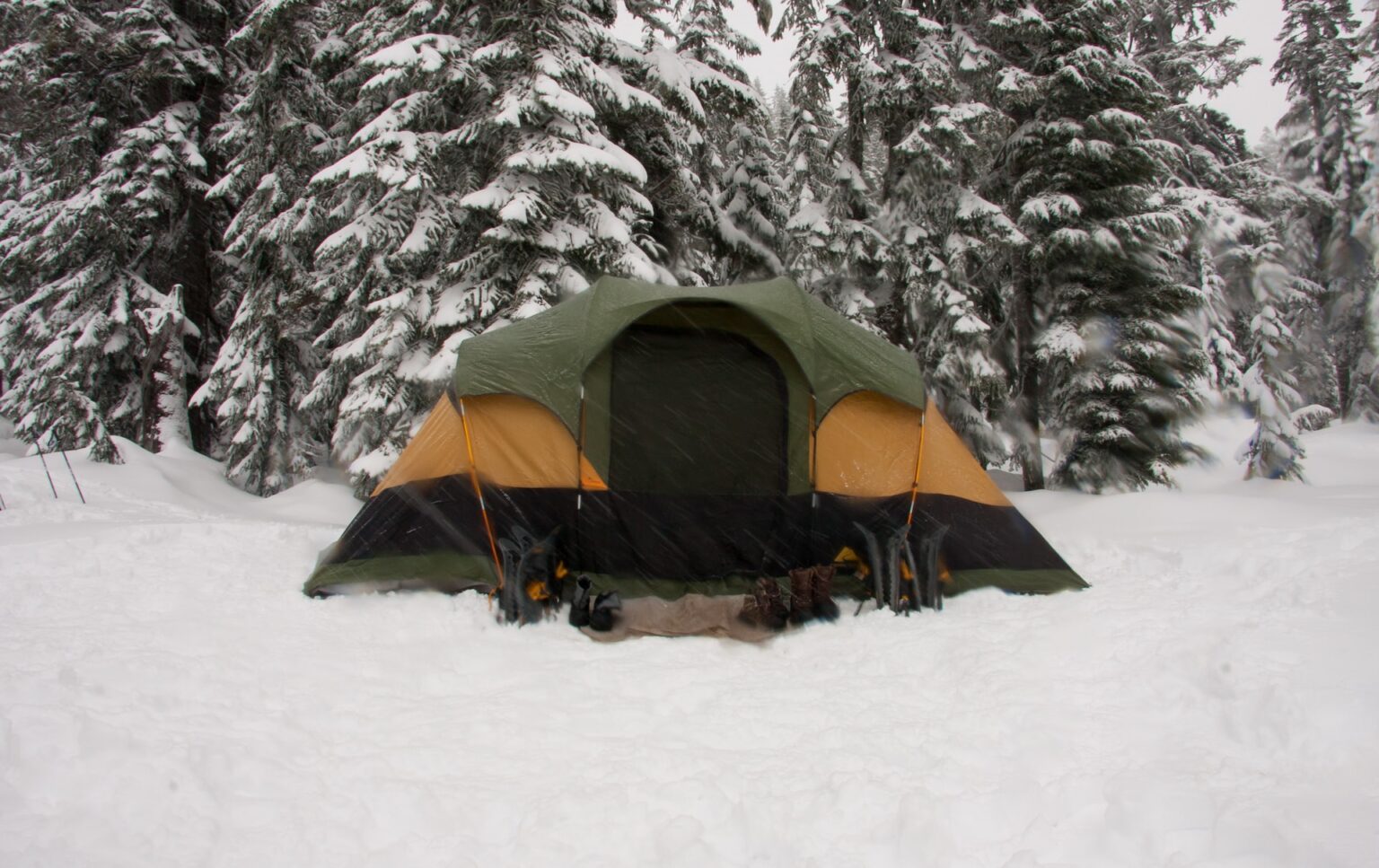 REI Base Camp 4 Your Perfect Partner in Adventure